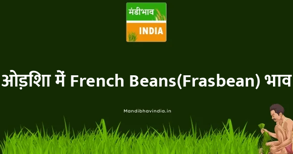 French Beans(Frasbean) भाव